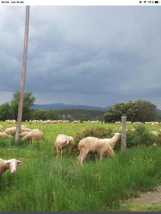 Vistas A La Montana En Un Pueblo Con Encanto. El Pueyo de Araguás Exteriör bild