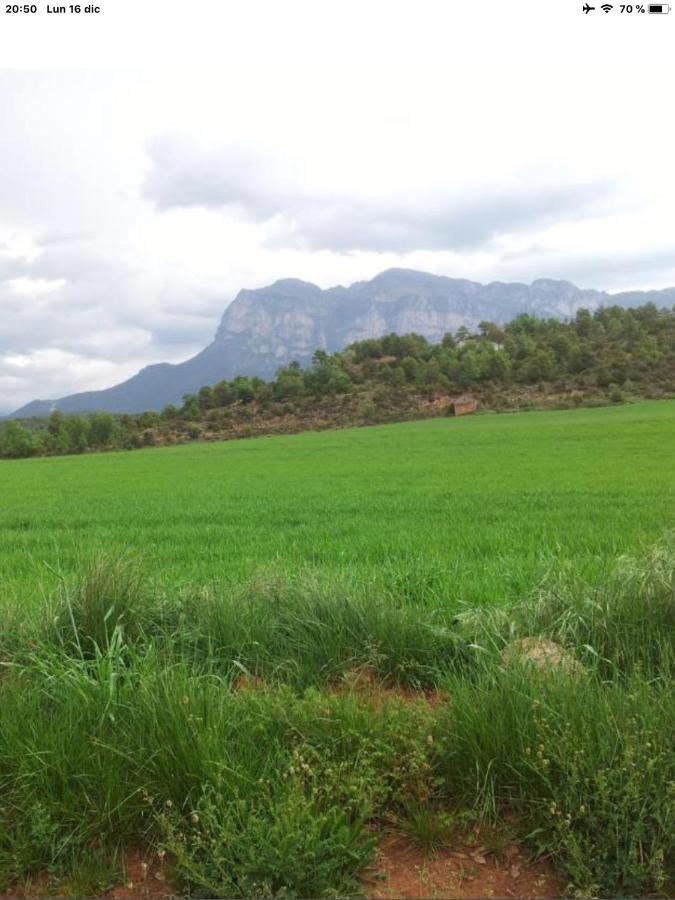 Vistas A La Montana En Un Pueblo Con Encanto. El Pueyo de Araguás Exteriör bild